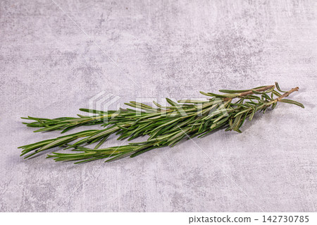 Fresh green rosemary sprig on textured gray stone surface, natural lighting, shallow depth of field, copy space Fresh green rosemary sprig on textured gray stone surface, natural lighting, shallow depth of field, copy space 142730785