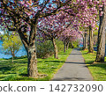 Blossoms By Lake 142732090