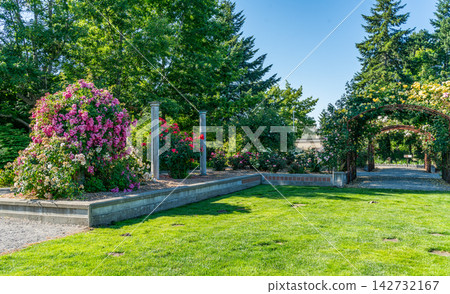 Blooming Garden Flowers Blooming Garden Flowers 142732167