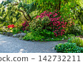 Blooming Garden Flowers 142732211