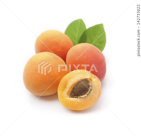 Sweet apricots with leaves on white backgrounds Sweet apricots with leaves on white backgrounds 142733022