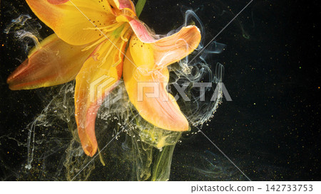 Closeup yellow orange lily petal detail with swirling translucent ink and glitter on black background Closeup yellow orange lily petal detail with swirling translucent ink and glitter on black background 142733753