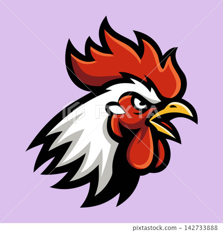 Aggressive Rooster Cock Fighting Bird Vector Illustration 142733888
