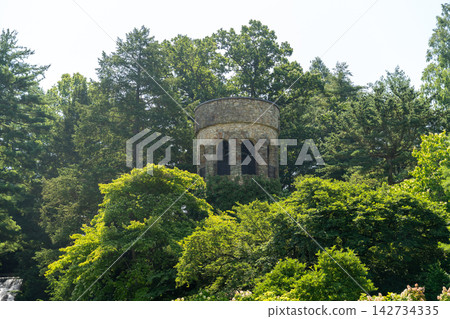 Old stone tower rising above a lush forest Old stone tower rising above a lush forest 142734335