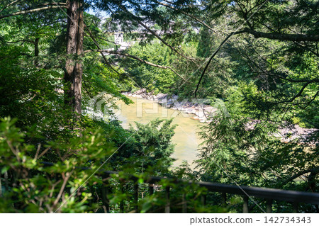 View of a scenic river from a forest overlook on a sunny day View of a scenic river from a forest overlook on a sunny day 142734343
