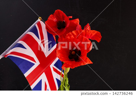 Poppies and british flag for remembrance day Poppies and british flag for remembrance day 142736246