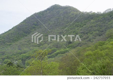 新鮮的綠色赤城山 新鮮的綠色赤城山 142737055