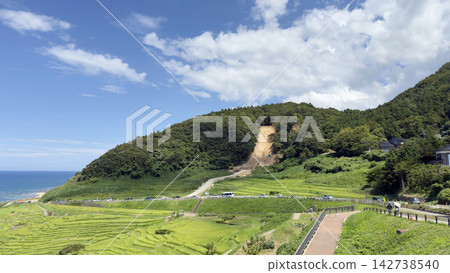 能登市白根千枚田梯田的修復工作正在進行中。 142738540