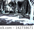 city park in winter 142738671