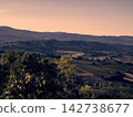 view of rice fields 142738677