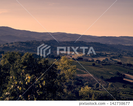 view of rice fields 142738677