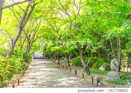 高圓寺 142739002