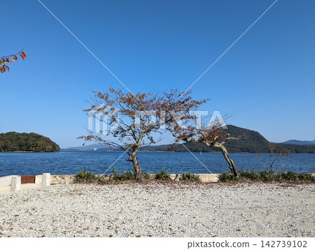 久美海灣 久美海灣 142739102