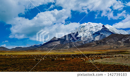 Tibetan Plateau Landscape with Snow Mountain and Grazing Sheep Flock Tibetan Plateau Landscape with Snow Mountain and Grazing Sheep Flock 142739183