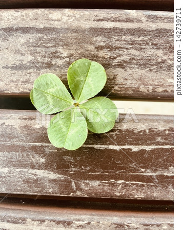 A four-leaf clover and a wooden bench – a natural image symbolizing good fortune. A four-leaf clover and a wooden bench – a natural image symbolizing good fortune. 142739711