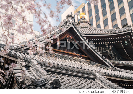 The tiled roof of the hexagonal pavilion is bordered by cherry blossoms. The tiled roof of the hexagonal pavilion is bordered by cherry blossoms. 142739994