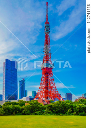 從芝王子公園看東京鐵塔 從芝王子公園看東京鐵塔 142741558
