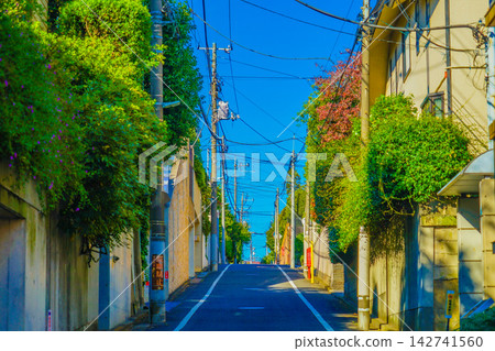 Hillside in Meguro-ku Hillside in Meguro-ku 142741560