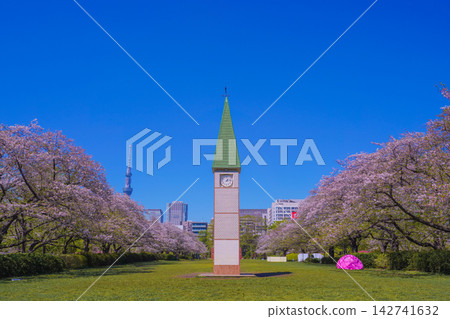 The clock tower of Sarue Onshi Park stands against the blue sky. The clock tower of Sarue Onshi Park stands against the blue sky. 142741632