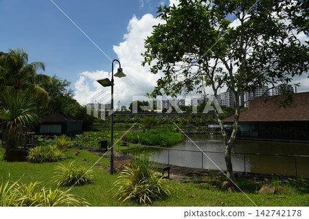 Scenic Park View With Pond and Lush Greenery in Singapore Scenic Park View With Pond and Lush Greenery in Singapore 142742178