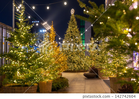 韓國首爾現代百貨狎鷗亭總店的夜景,裝飾著精美的聖誕飾品和燈光。 韓國首爾現代百貨狎鷗亭總店的夜景,裝飾著精美的聖誕飾品和燈光。 142742604