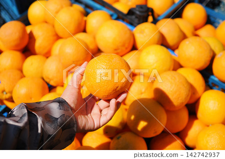 Hand holding an orange among many more oranges in a market Hand holding an orange among many more oranges in a market 142742937