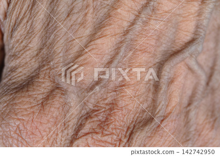 Skin texture with wrinkles showing aging features in natural light Skin texture with wrinkles showing aging features in natural light 142742950