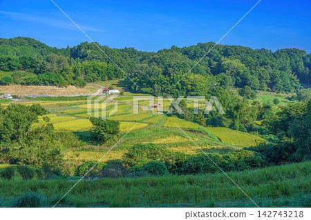 明日香村展現了典型的日本鄉村風光：初秋時節，湛藍的天空下，層層疊疊的梯田構成了一幅美麗的鄉村景色。 142743218