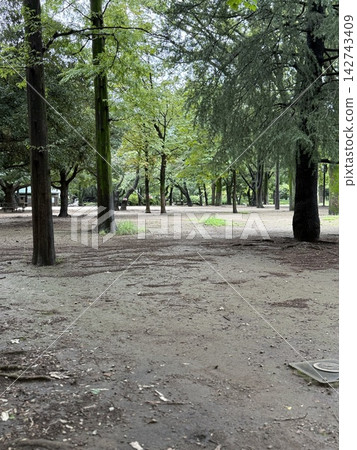 雨後的靜謐日本公園 雨後的靜謐日本公園 142743409