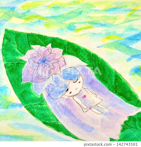 海蜇 海蜇 142743501