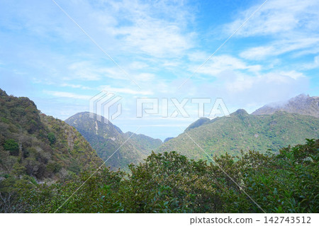 Nitada Pass Nitada Pass 142743512