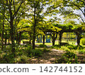 一個花園 142744152