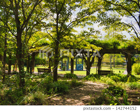 一個花園 142744152