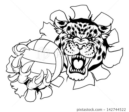 Jaguar Leopard Cheetah Panther Volleyball Mascot Jaguar Leopard Cheetah Panther Volleyball Mascot 142744522