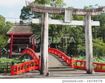 葵阿蘇神社 142744776