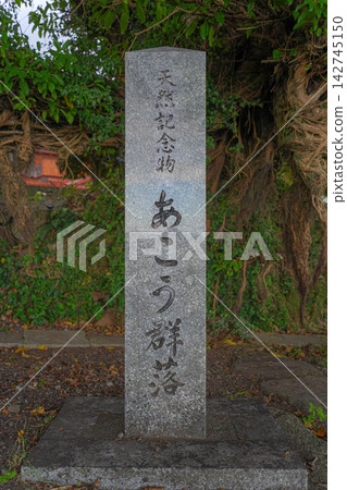榕樹小葉樹群落 榕樹小葉樹群落 142745150