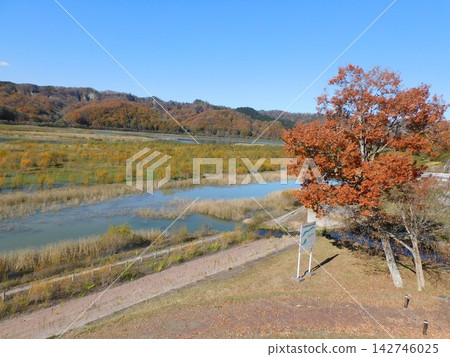 北海道比良利秋葉美景(攝於2022年10月) 北海道比良利秋葉美景(攝於2022年10月) 142746025