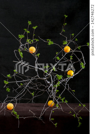 Tree branch with orange balls on a dark background 142746272