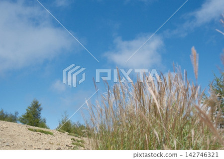 A beautiful early autumn mountain landscape with a clear blue sky and pampas grass swaying in the autumn breeze. A beautiful early autumn mountain landscape with a clear blue sky and pampas grass swaying in the autumn breeze. 142746321