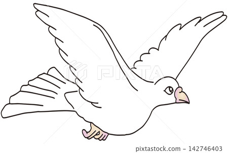 手繪動物插畫☆白鴿 手繪動物插畫☆白鴿 142746403
