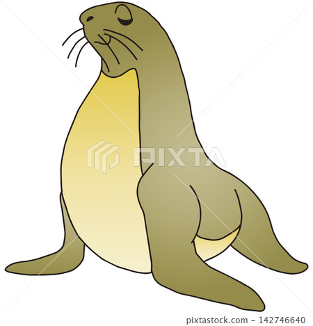 手繪動物插畫☆海獅 142746640