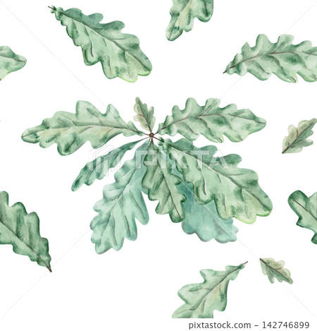 Seamless pattern of green oak leaves. Isolated illustration for eco-branding, packaging, textile printing, wedding decor, scrapbooking, and wallpaper. Tea blend packaging and craft cheese branding. 142746899