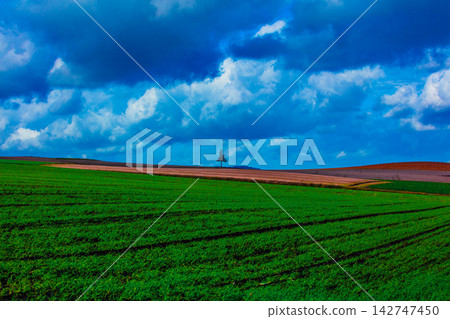 Rural landscape Rural landscape 142747450