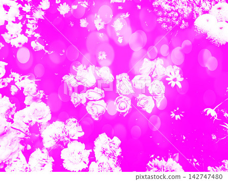 Purple and white flower background Purple and white flower background 142747480