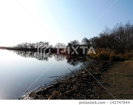 Lake Utonai, Tomakomai City, Hokkaido (photographed in November 2023) Lake Utonai, Tomakomai City, Hokkaido (photographed in November 2023) 142747844