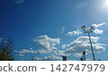 Blue sky and streetlight 142747979