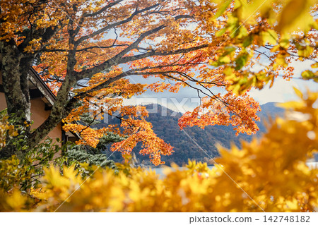 中禪寺湖:秋色楓葉與屋頂 中禪寺湖:秋色楓葉與屋頂 142748182