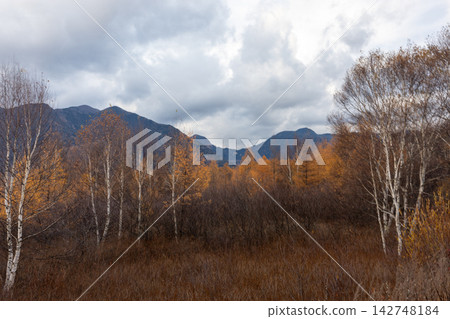 秋季從奧日光自然步道眺望富山。 秋季從奧日光自然步道眺望富山。 142748184