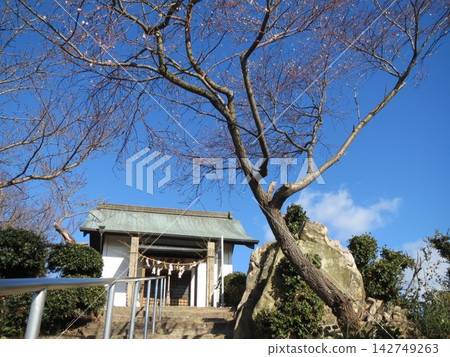 2014年,香川縣,高松市,風景,湖西町,芝山城遺址,第13部分 2014年,香川縣,高松市,風景,湖西町,芝山城遺址,第13部分 142749263