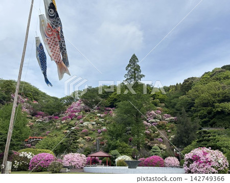 山谷中杜鵑花盛開,鯉魚彩帶飄揚。 山谷中杜鵑花盛開,鯉魚彩帶飄揚。 142749366